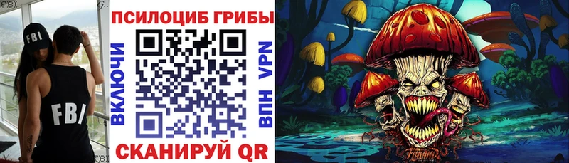 Псилоцибиновые грибы Magic Shrooms  Купить где  Козловка 